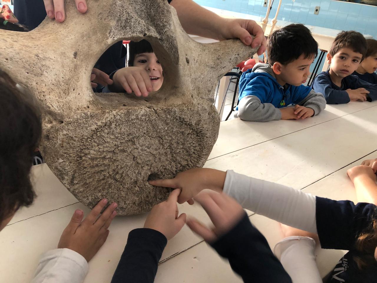 Em visita a Laboratório de Biologia, Infantil 2 estuda esqueletos