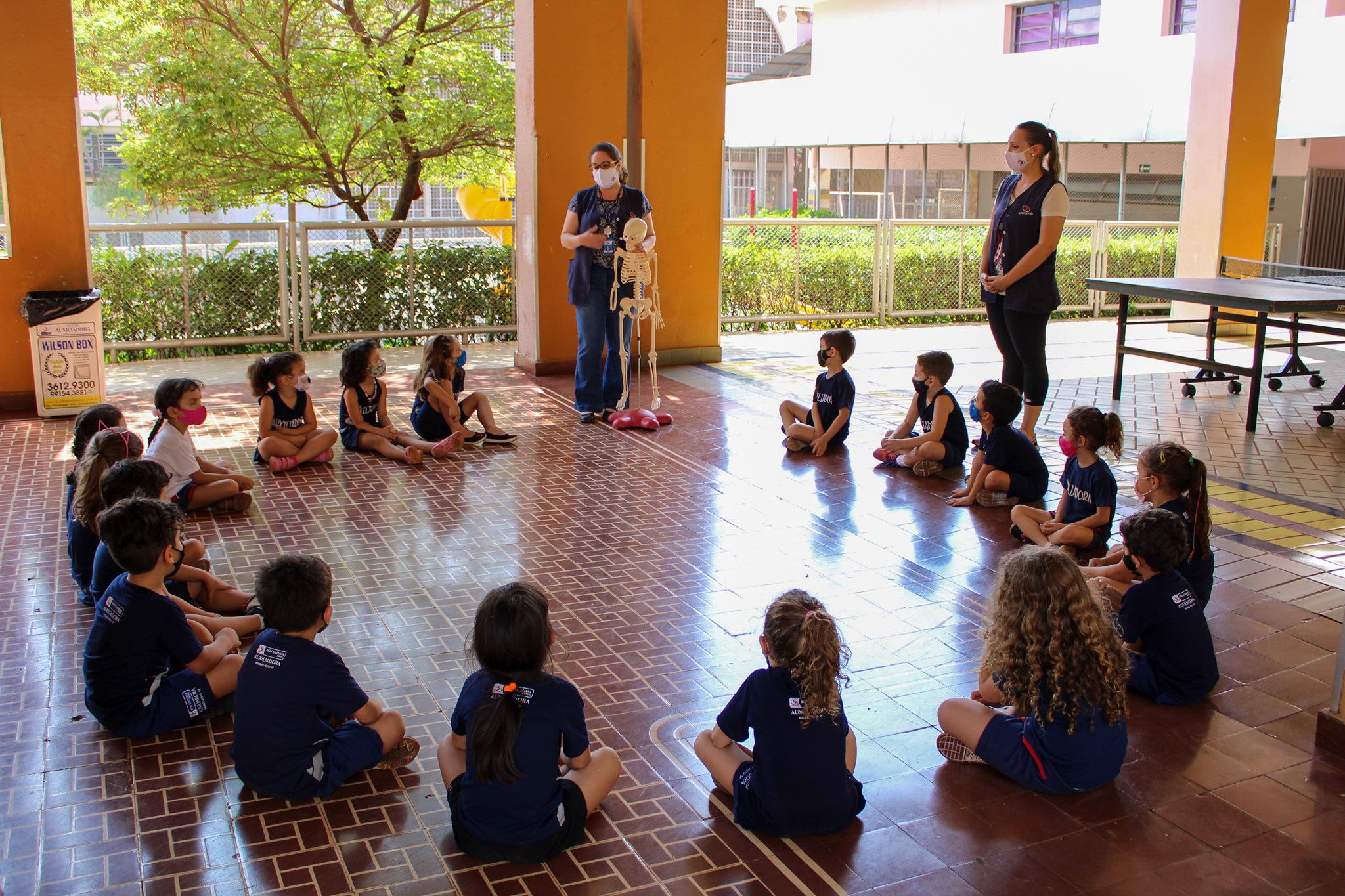Infantil 2 estuda o esqueleto humano