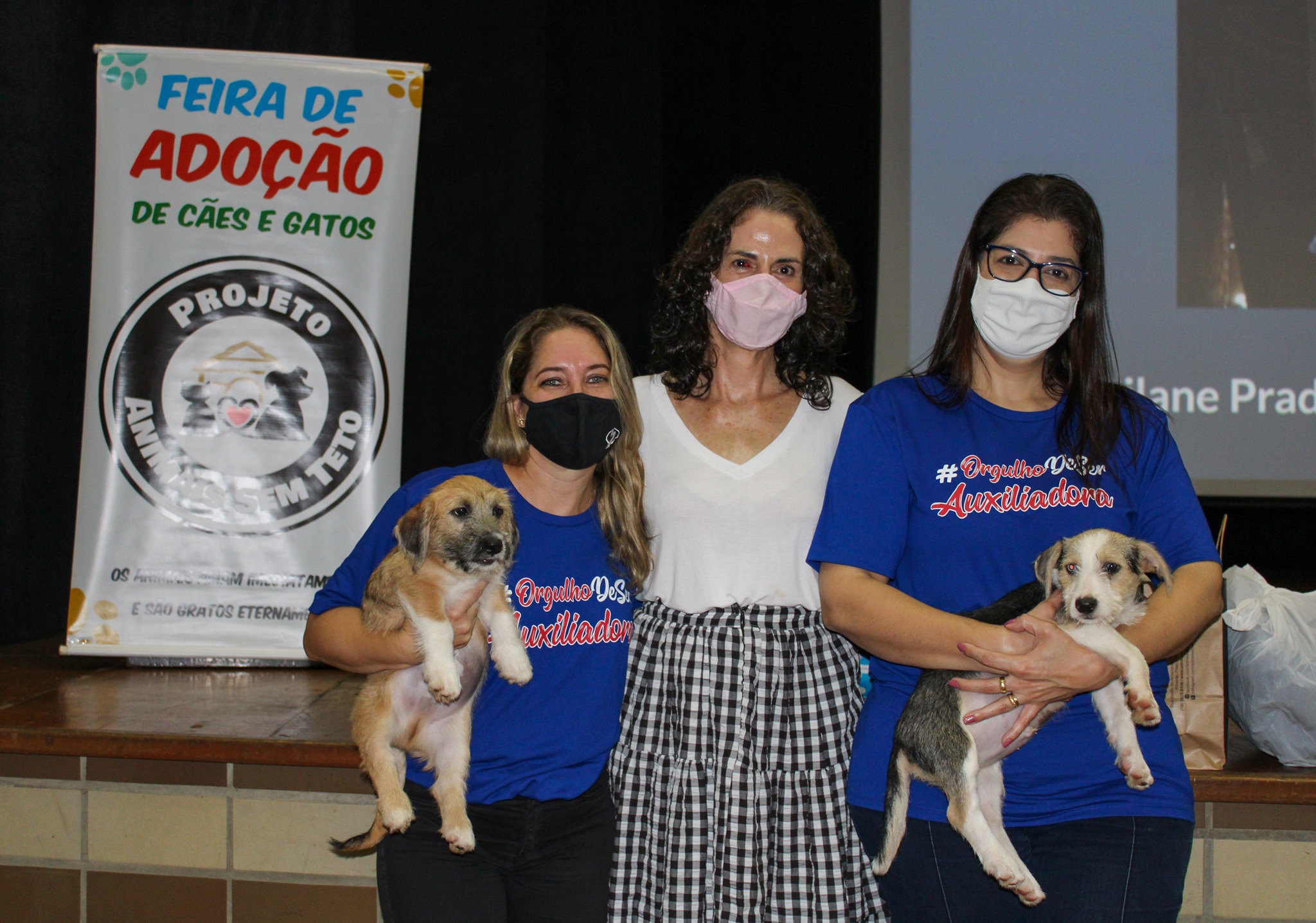 Alunos do 4º ano promovem projeto social para pets