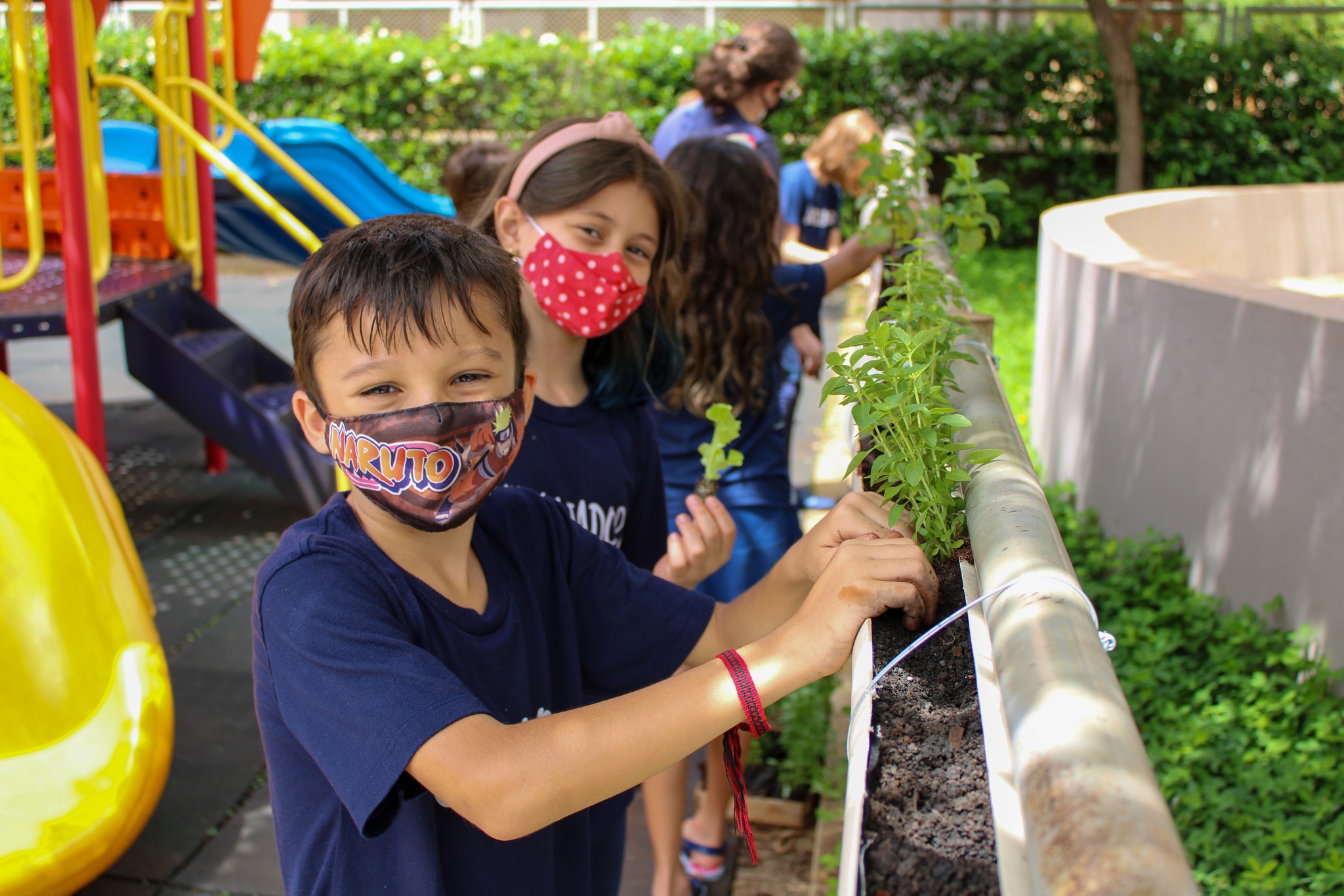 Projeto Horta Comunitária" envolve alunos dos 3ºs anos"